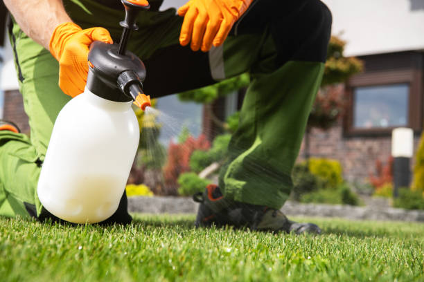 Best Termite Control Services  in Willow Creek, CA