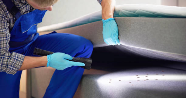 Best Pest Inspection Near Me  in Willow Creek, CA